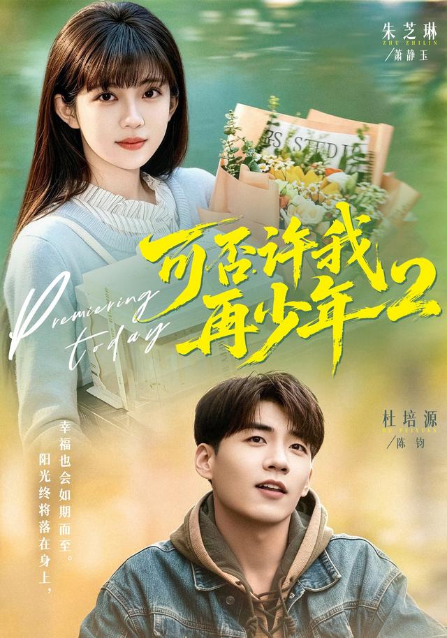 可否许我再少年2海报